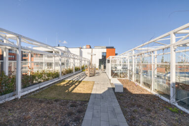 Doki Living | 3 pokoje | ogród