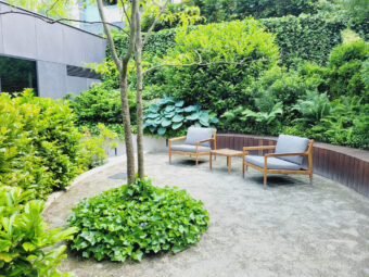 OSTATNIA SZANSA Apartament w Gdańsku Oliwa