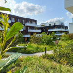 Sopot Górny, ul. Smolna