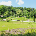 Gdańsk Oliwa, ul. Opacka