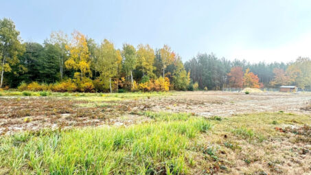 Malownicza działka na leśnej polanie