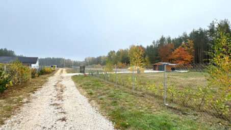 Malownicza działka na leśnej polanie