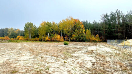Malownicza działka na leśnej polanie
