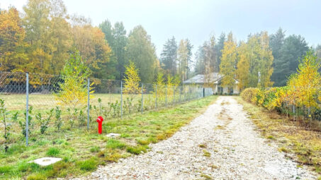 Malownicza działka na leśnej polanie