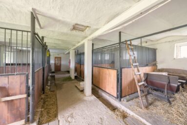 Dom Stajnia drugi Dom Ziemia 9,9 ha i inne….