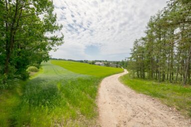 Dom Stajnia drugi Dom Ziemia 9,9 ha i inne….