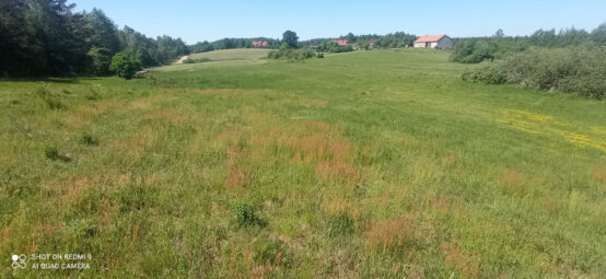Zamieszkaj tam, gdzie las mówi „dzień dobry” NWP