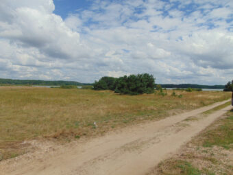 Działka Rolna | Konarzyny