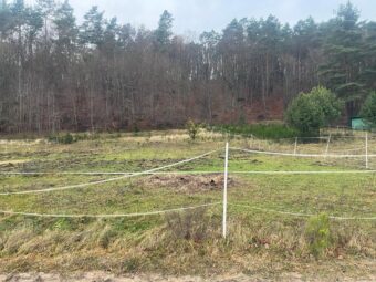 Gdynia Działka rolna przy lesie na stadninę koni