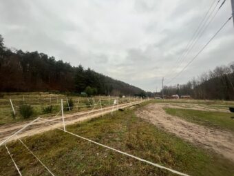 Gdynia Działka rolna przy lesie na stadninę koni