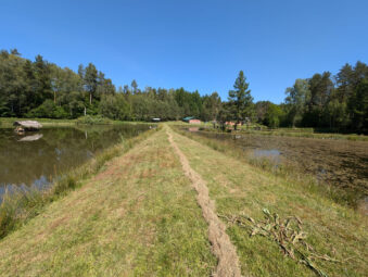 Siedlisko slow-life 2,63 ha pod Bytowem