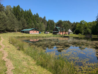 Siedlisko slow-life 2,63 ha pod Bytowem