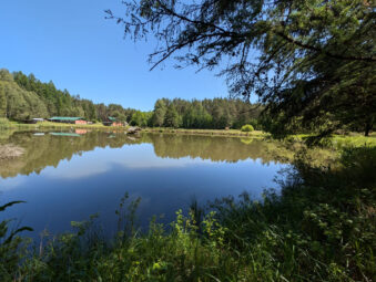 Siedlisko slow-life 2,63 ha pod Bytowem