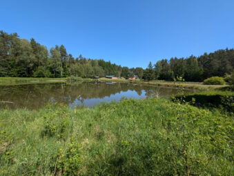 Siedlisko slow-life 2,63 ha pod Bytowem