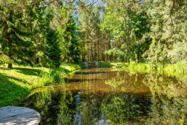 Piękna posiadłość, 1.2ha, dom z basenem, staw, las