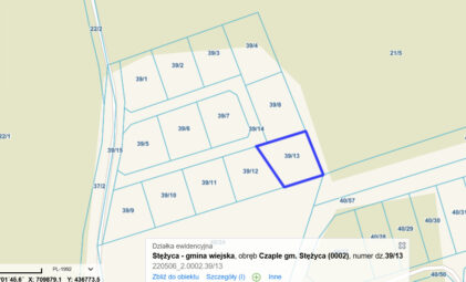 Działki na Kaszubach z granicą Lasu