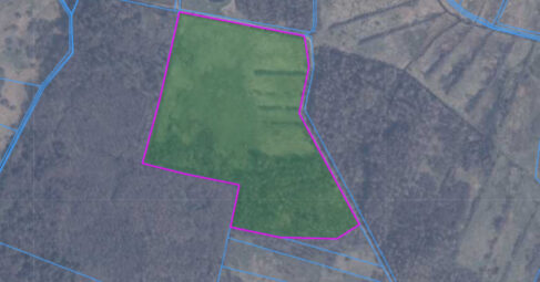 Duży grunt 11,5 ha okolice Żarnowca i Dębek