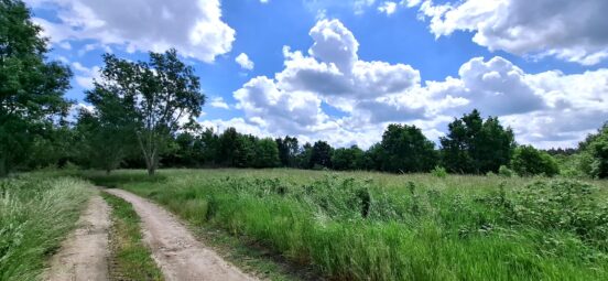 Wyjątkowa działka budowlana w Kłodawie 1555 m2
