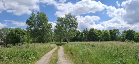 Wyjątkowa oferta – dwie działki w Kłodawie 4890m2
