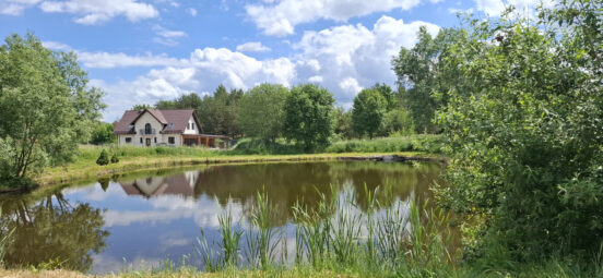 Wyjątkowa oferta – dwie działki w Kłodawie 4890m2
