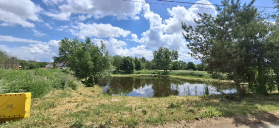 Wyjątkowa oferta – dwie działki w Kłodawie 4890m2