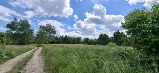 Wyjątkowa oferta – dwie działki w Kłodawie 4890m2