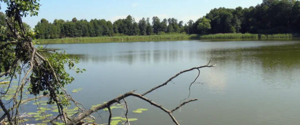 Działka Ciechocin | Chojnice | 1.89 Hektarów
