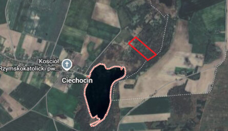 Działka Ciechocin | Chojnice | 1.89 Hektarów