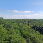 Gdynia Witomino