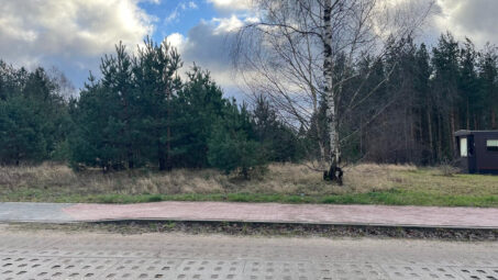 Działka z własnym zadrzewieniem- Skrzeszewo