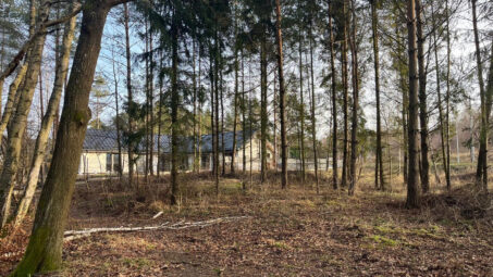 Otomin Działka w otoczeniu lasu