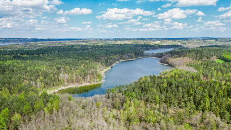 Działki na Kaszubach z granicą Lasu