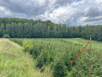 Działki na Kaszubach z granicą Lasu