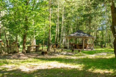 Piękna posiadłość, 1.2ha, dom z basenem, staw, las