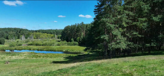 Masz plan na hodowlę? Gotowy teren 13,367 ha!